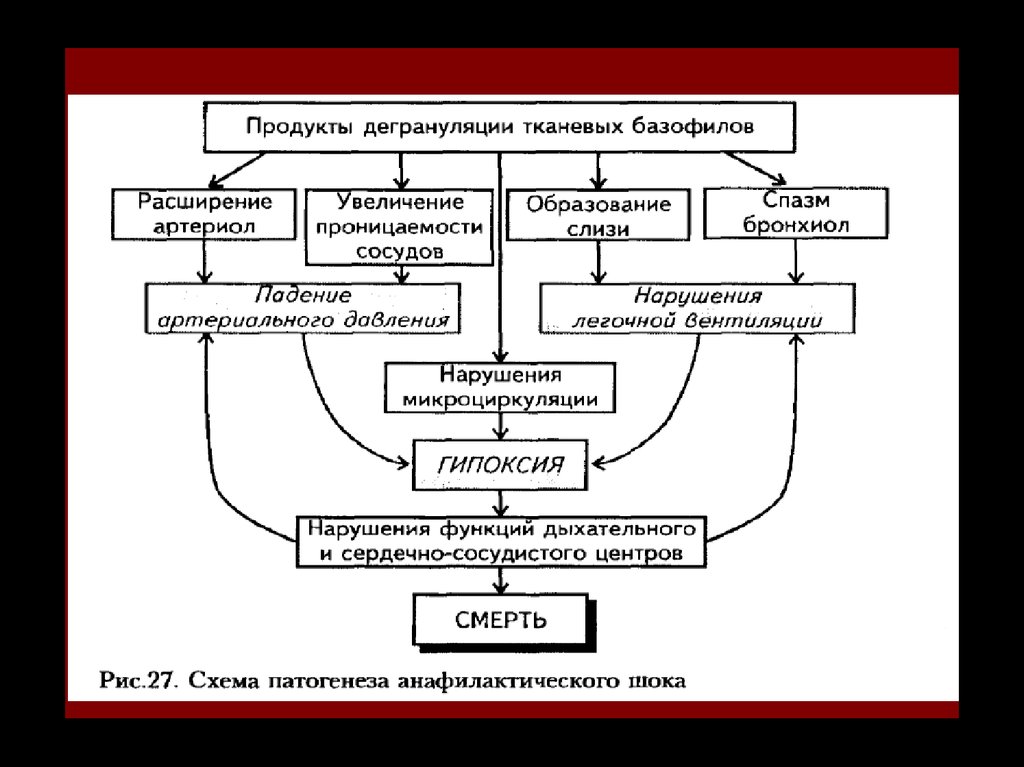 Схема патогенеза анафилактического шока