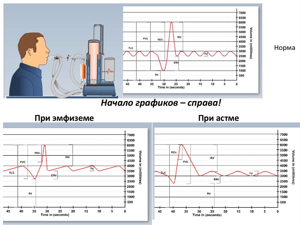 Журнал ультразвуковая и функциональная диагностика. Путевая диагностика респираторной системы. Дыхательная диагностика статистика.