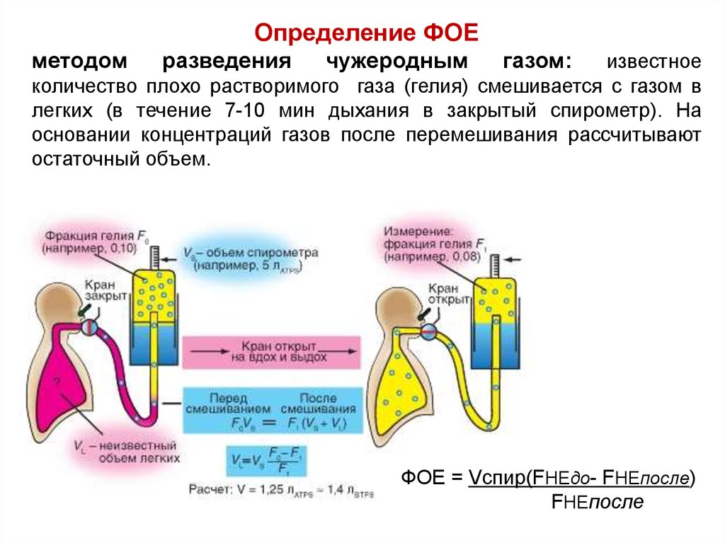 Функциональные возможности дыхательных систем