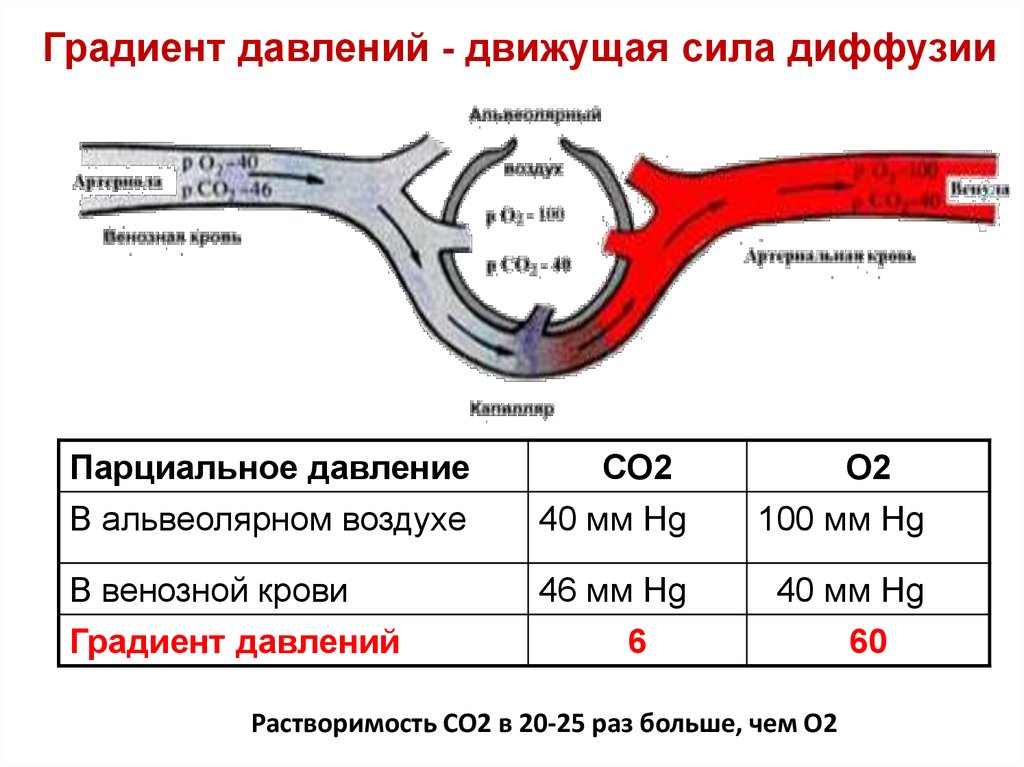 М градиент 1