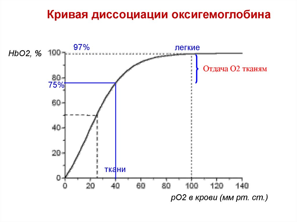 Диссоциация оксигемоглобина