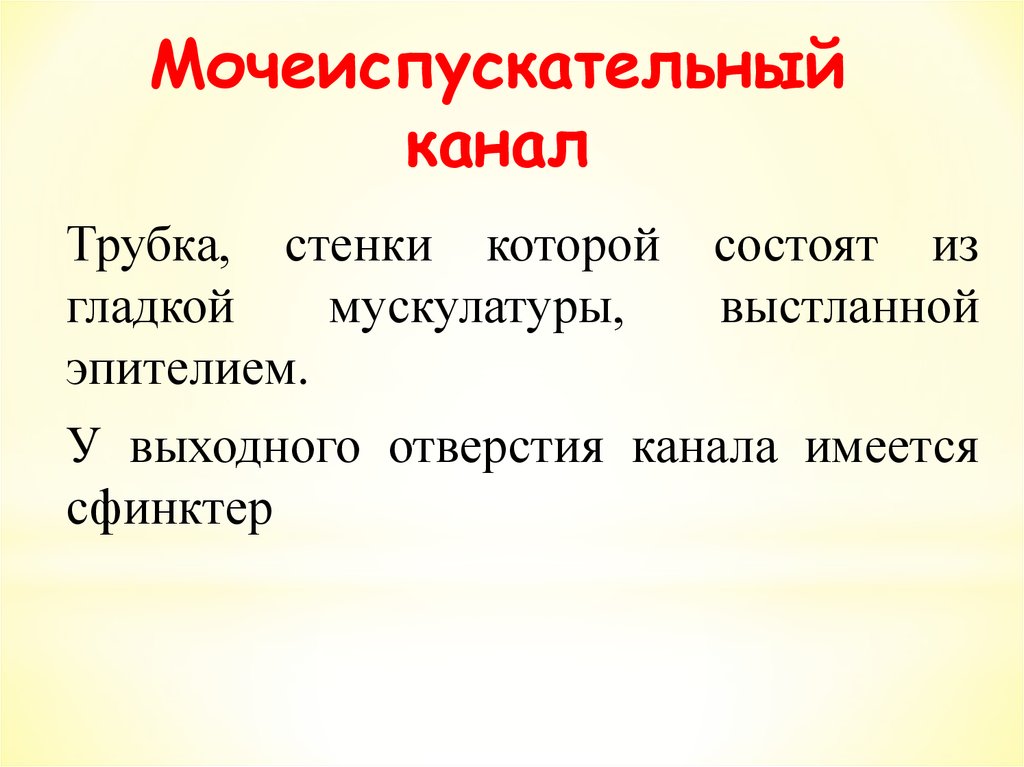 Мочеиспускательный канал