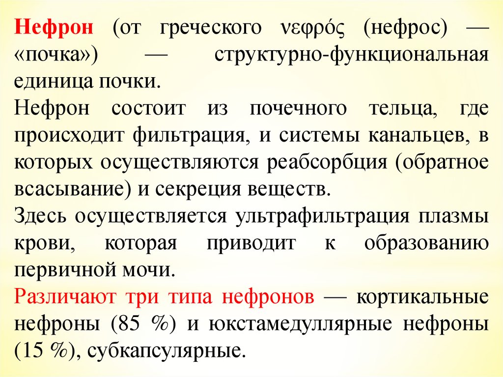 Выделительная система человека - online presentation