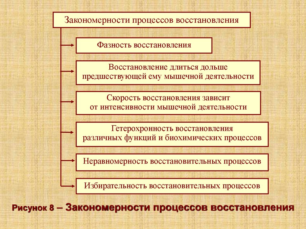 В процессе восстановления происходит. Физиологические закономерности восстановительных процессов. Физиологическая характеристика восстановительных процессов. Закономерности восстановления. Закономерности течения восстановительных процессов.