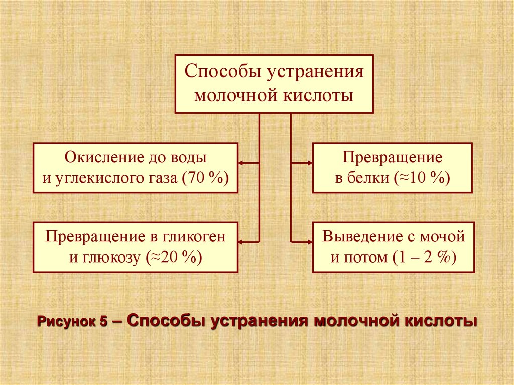 Процессом восстановления является