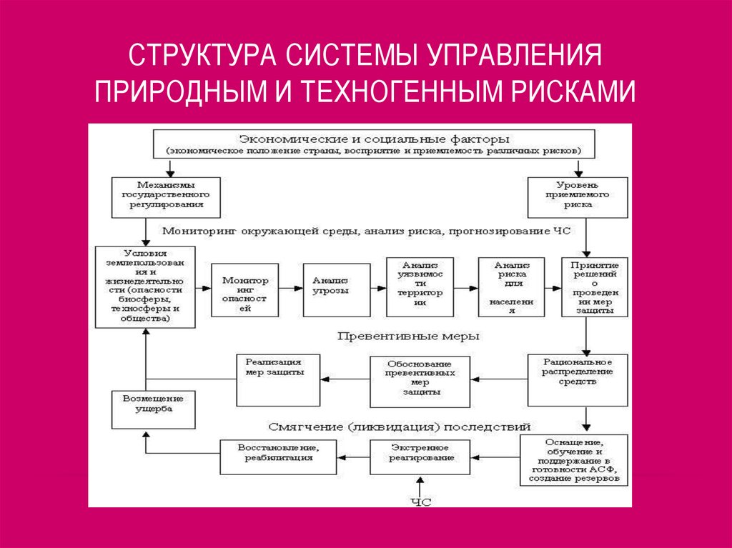 Системы управления экономикой. Структура системы менеджмента. Структура системы управления рисками. Структура системы управления природными и техногенными рисками. Структура техногенного риска.