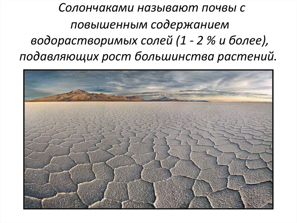 Солончаки почвы где. Солончаки почвы. Солончаковая пустыня. Солончаки это презентация.