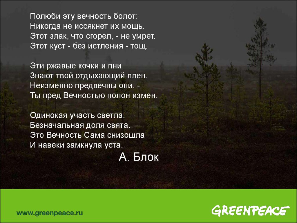 Анализ стиха топи да болота. Стих про болото. Сихотворение бро болото. Стихи о болоте. Стих Есенина топи да болота.