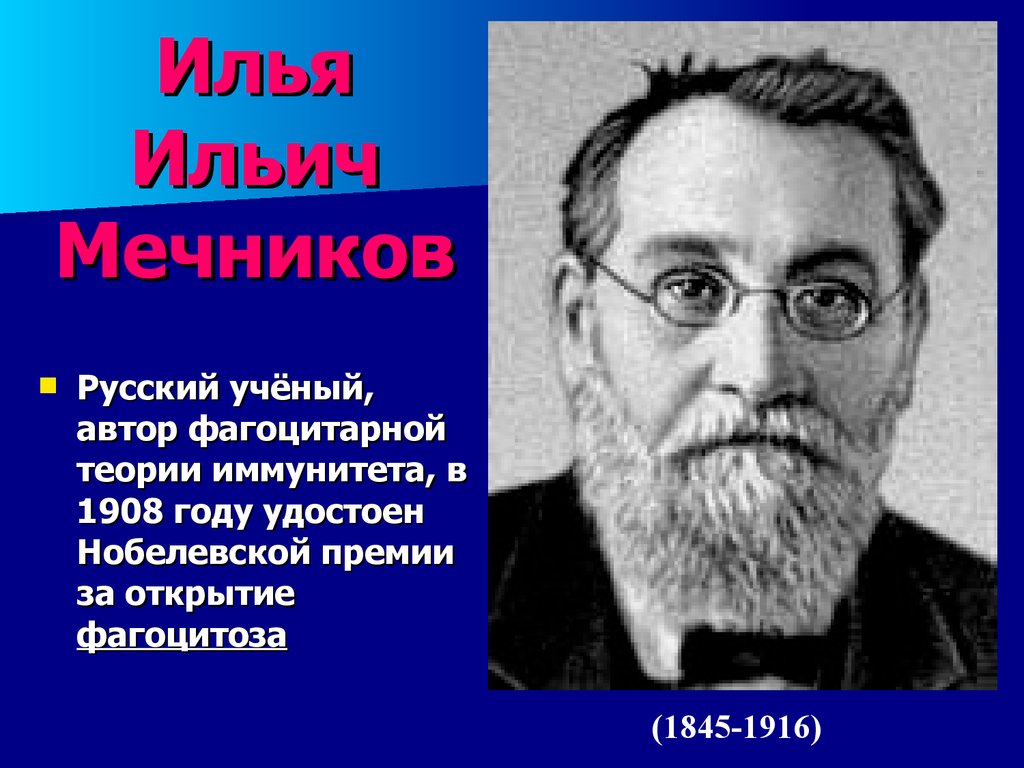 Явление фагоцитоза открыл русский ученый. Автор фагоцитарной теории.