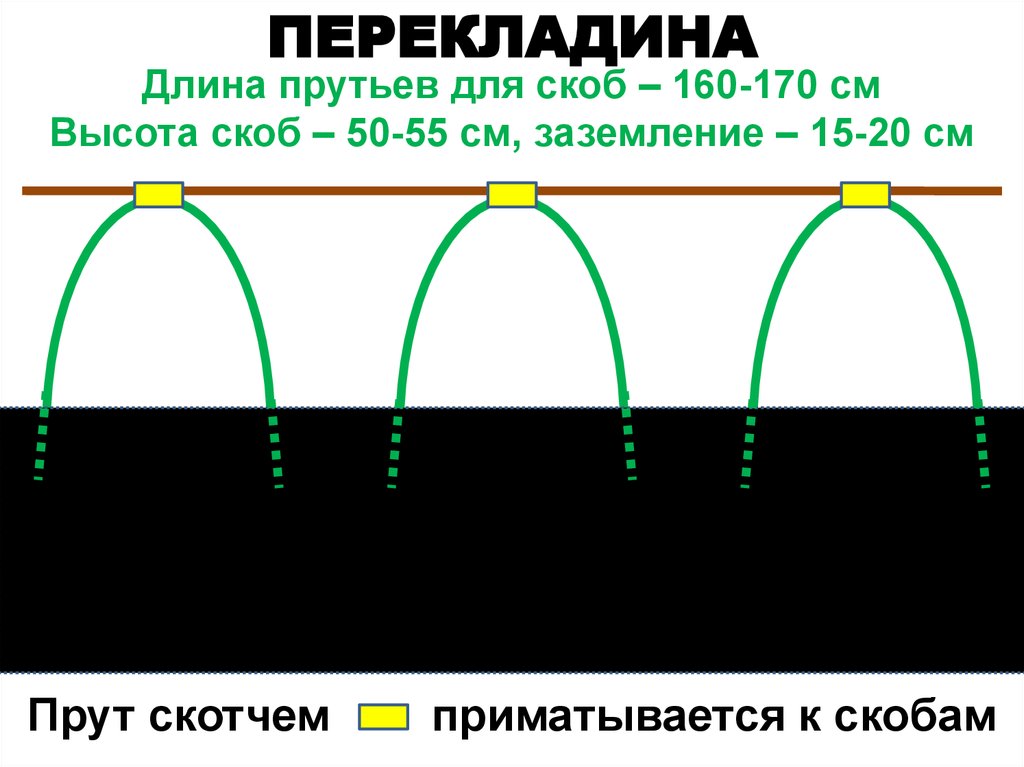 Грядка бублика схема