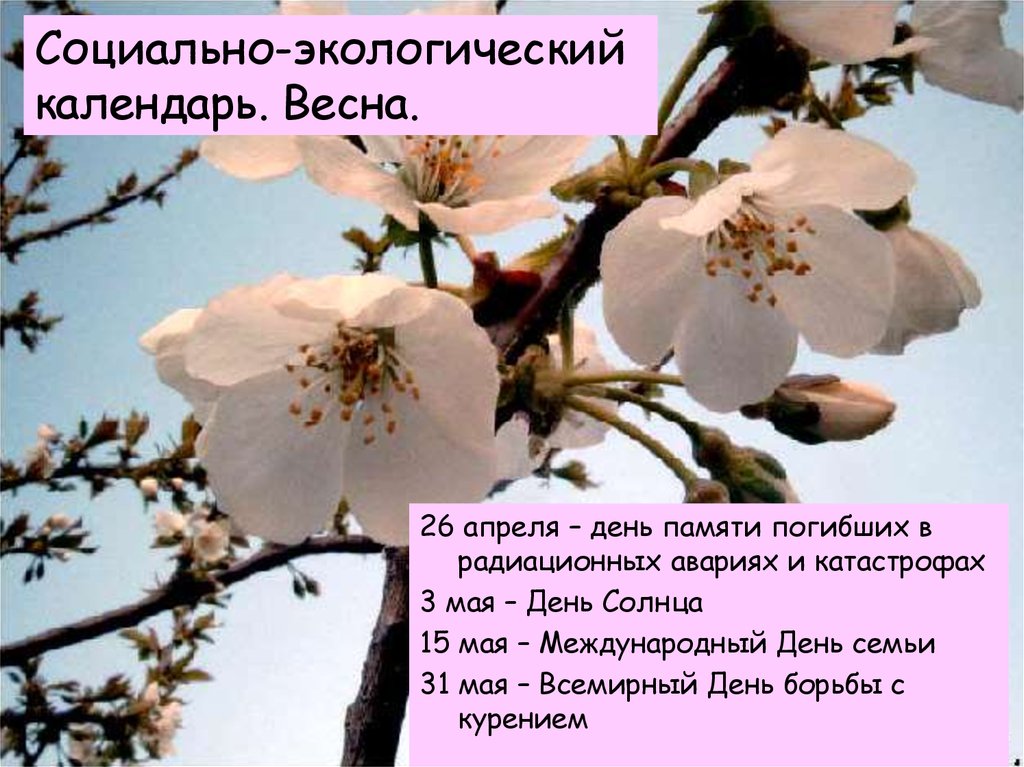 Социально-экологический календарь. Весна.