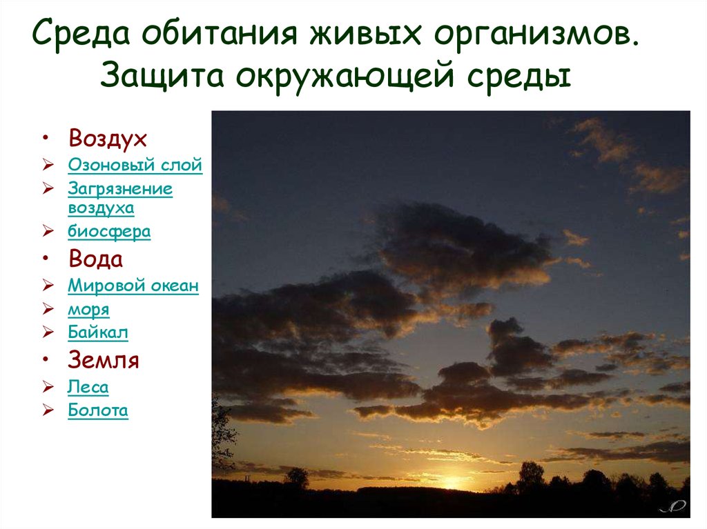 Среда обитания воздух. Среды обитания вода воздух. Аномалии воздушной среды. Защита окружающей среды воздух