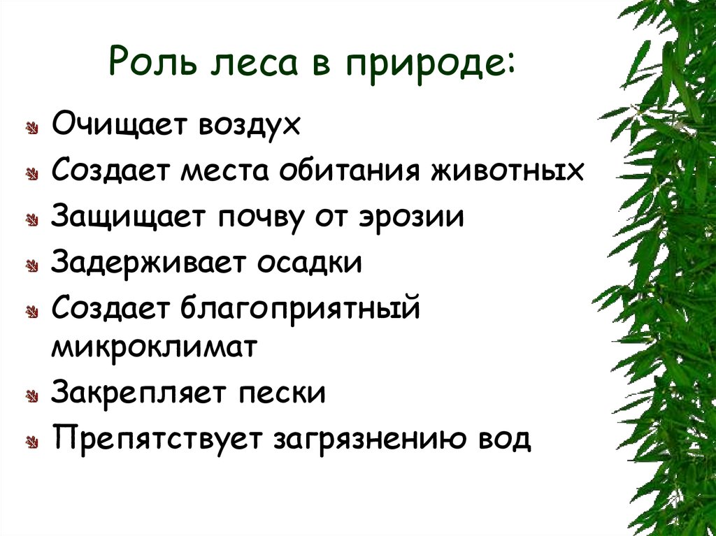 Сообщение роль природы в жизни человека. Роль леса в жизни человека. Роль леса в природе. Ролт Леа в жизи челоека. Поль леса в жизни человека.