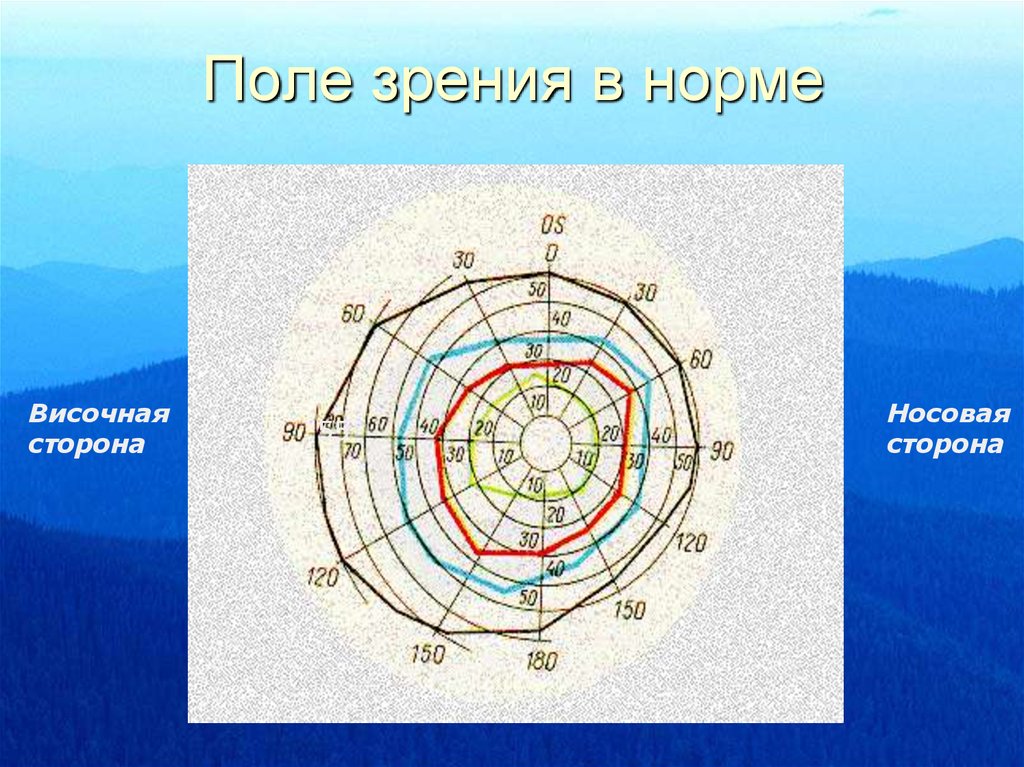 Точка в поле зрения. Поле зрения. Поля зрения в норме. Определение границ поля зрения. Нормальное поле зрения человека.