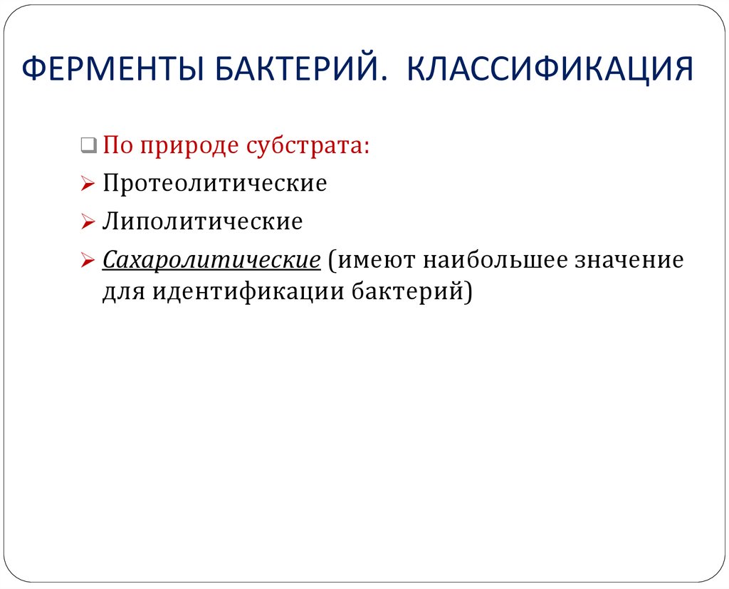 Ферментативные бактерии