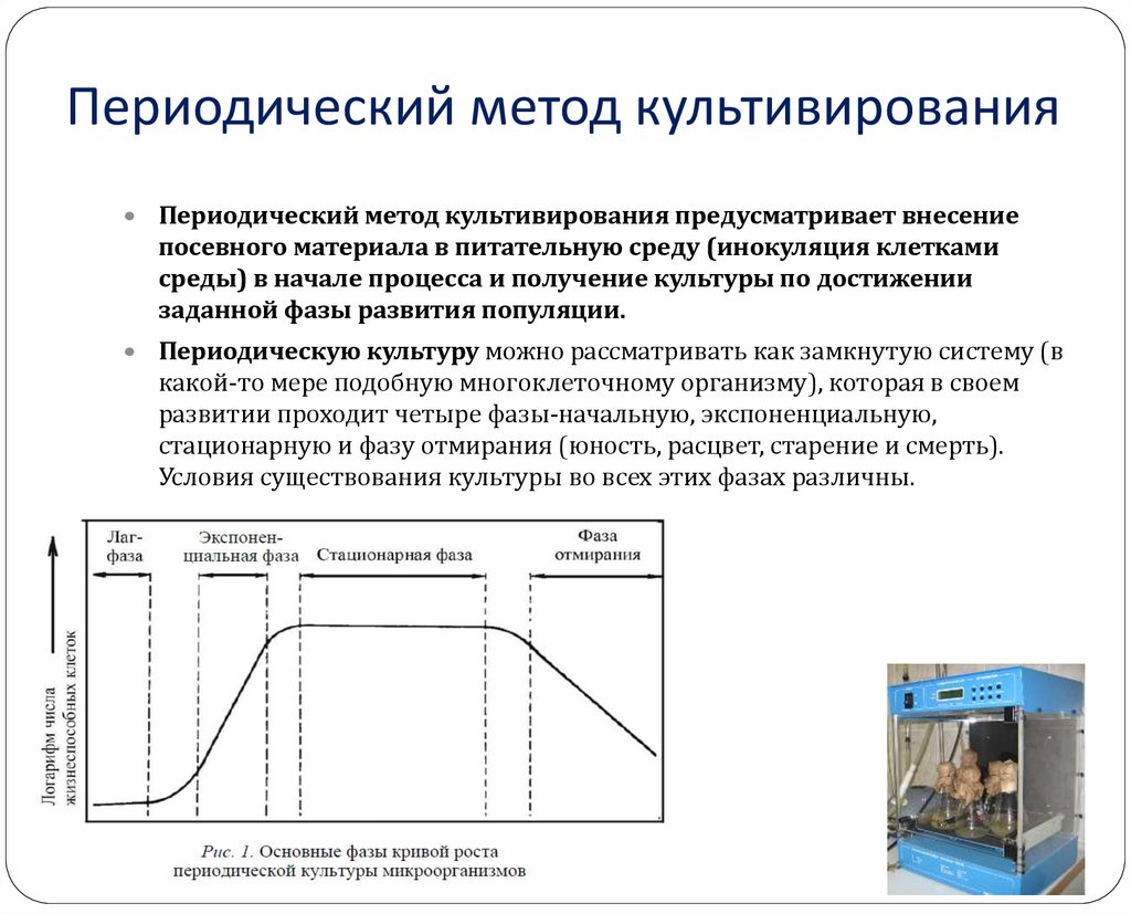 И методы 1 периодически в. Фазы культивирования микроорганизмов. Периодическое культивирование непрерывное культивирование. Периодическое глубинное и проточное культивирование. Периодическое и непрерывное культивирование бактерий.