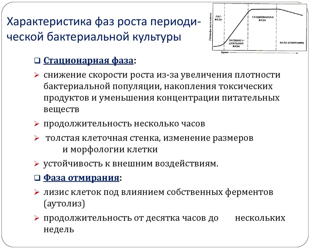 Характеристика фаз