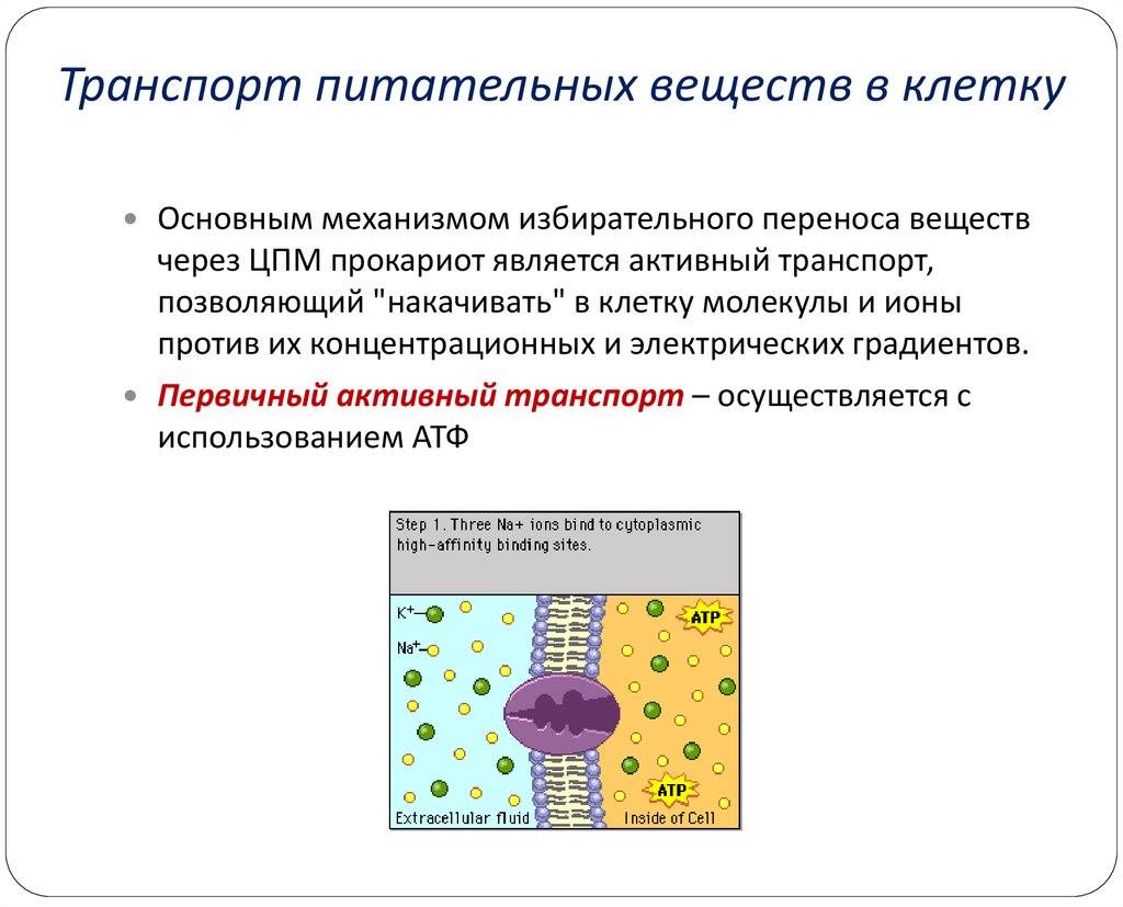 Поступление веществ