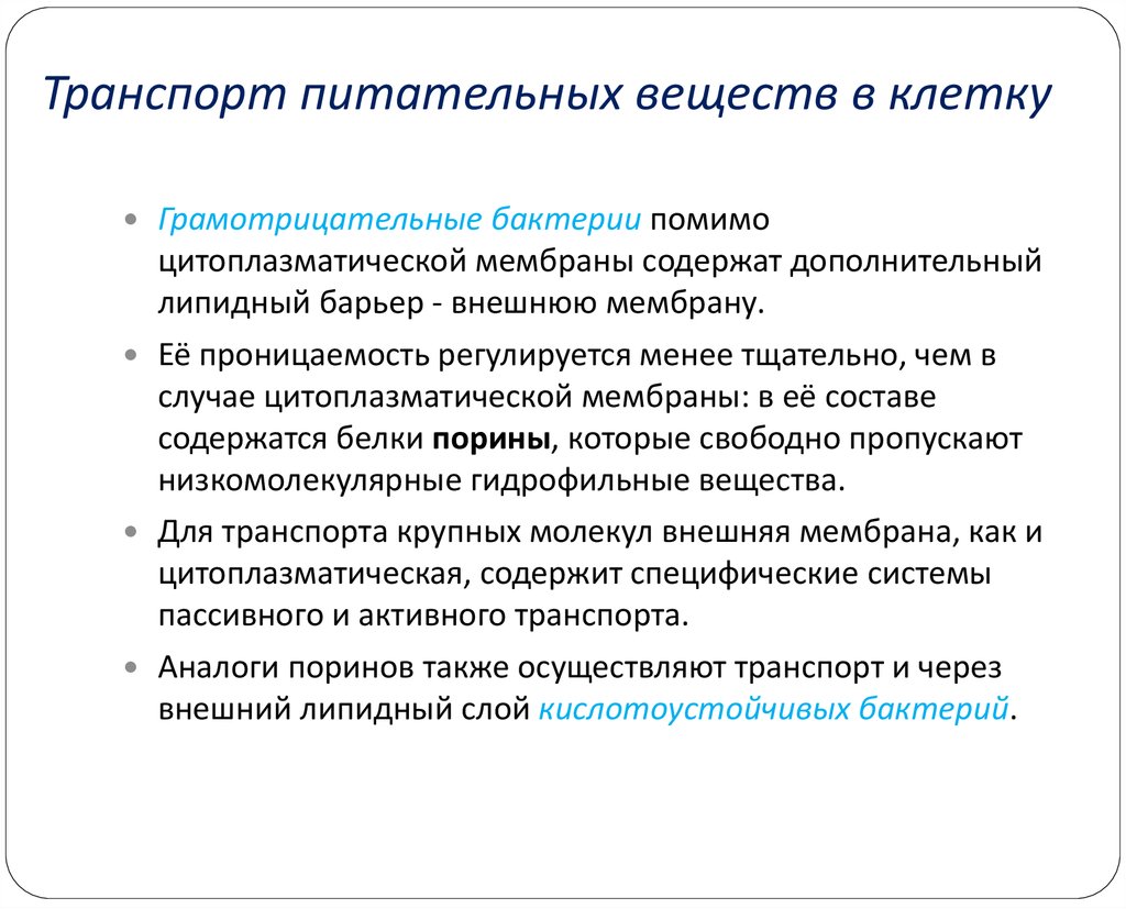 Как используются пищевые вещества попавшие в клетку