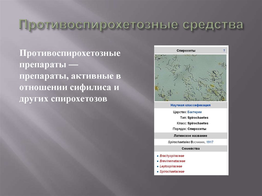 Противоспирохетозные средства презентация