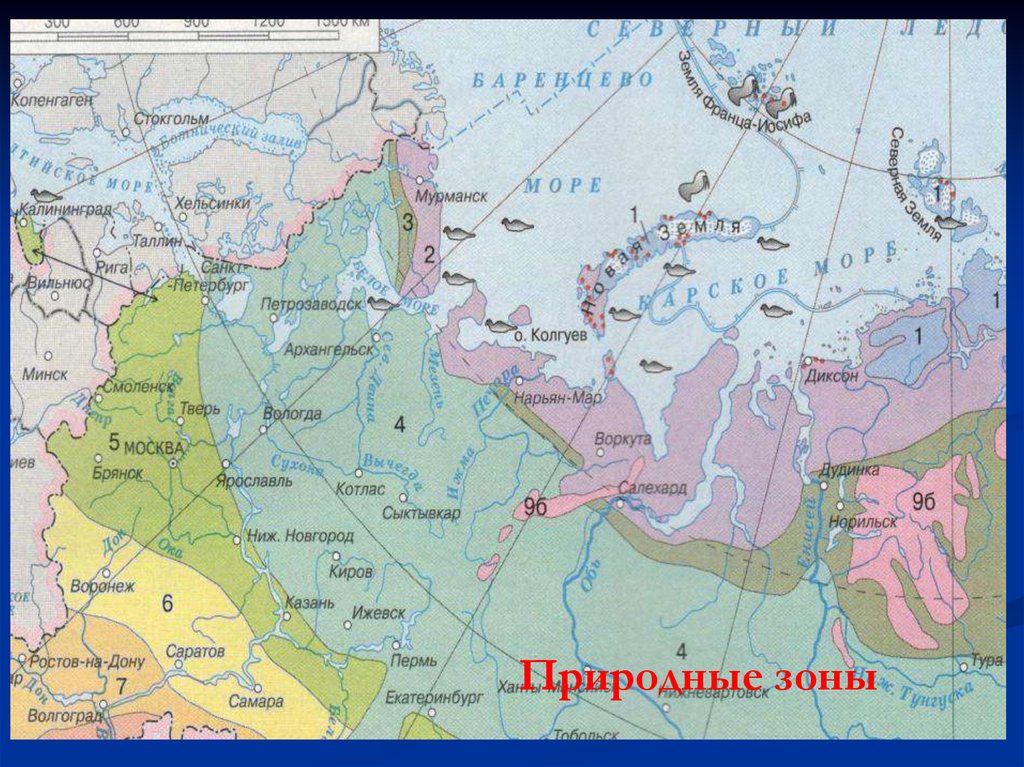 Природные границы северо запада. Климатическая карта европейского севера России. Климатическая карта европейского севера. Карта природных зон Северо Запада России. Карта природных зон европейского севера.