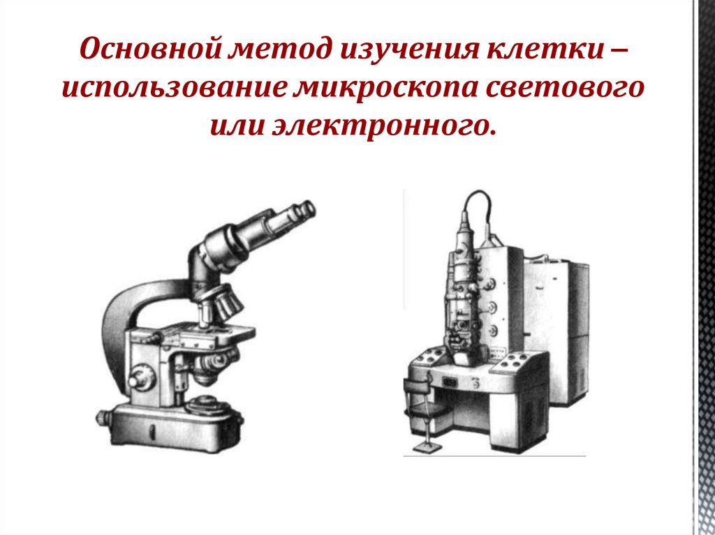 Методы изучения жизнедеятельности клетки 5 класс план сообщения