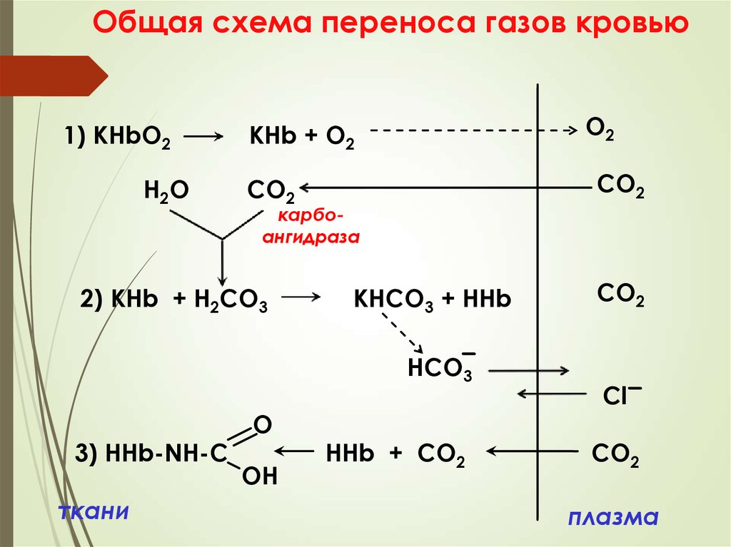 Перенос газов кровью