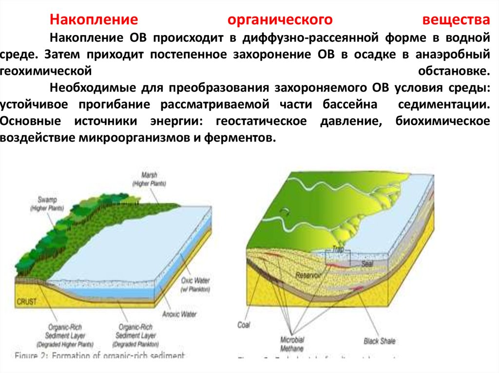 Органическое вещество в водных массах. Накопление органического вещества. Аккумуляция органического вещества. Аккумуляция органического вещества в почве?. Преобразование и накопление органических веществ в почвах.