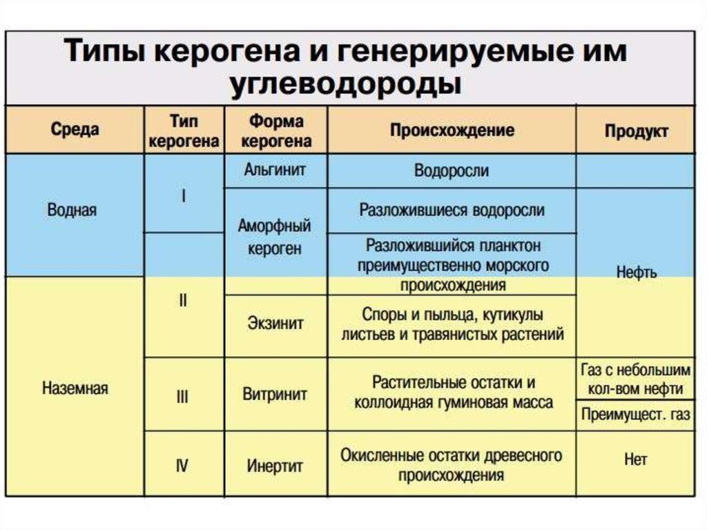 Какой тип генерирующего источника. Типы керогена. Типы органического вещества типы керогена. Кероген второго типа. Тип керогена таблица.