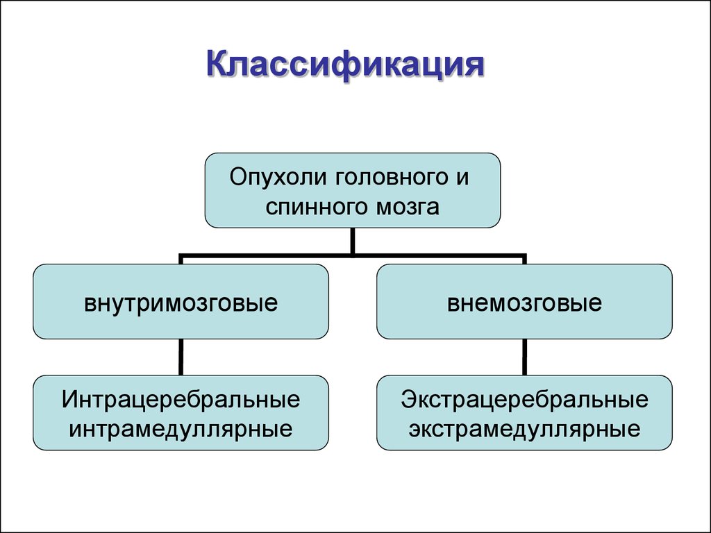 Классификация мозга