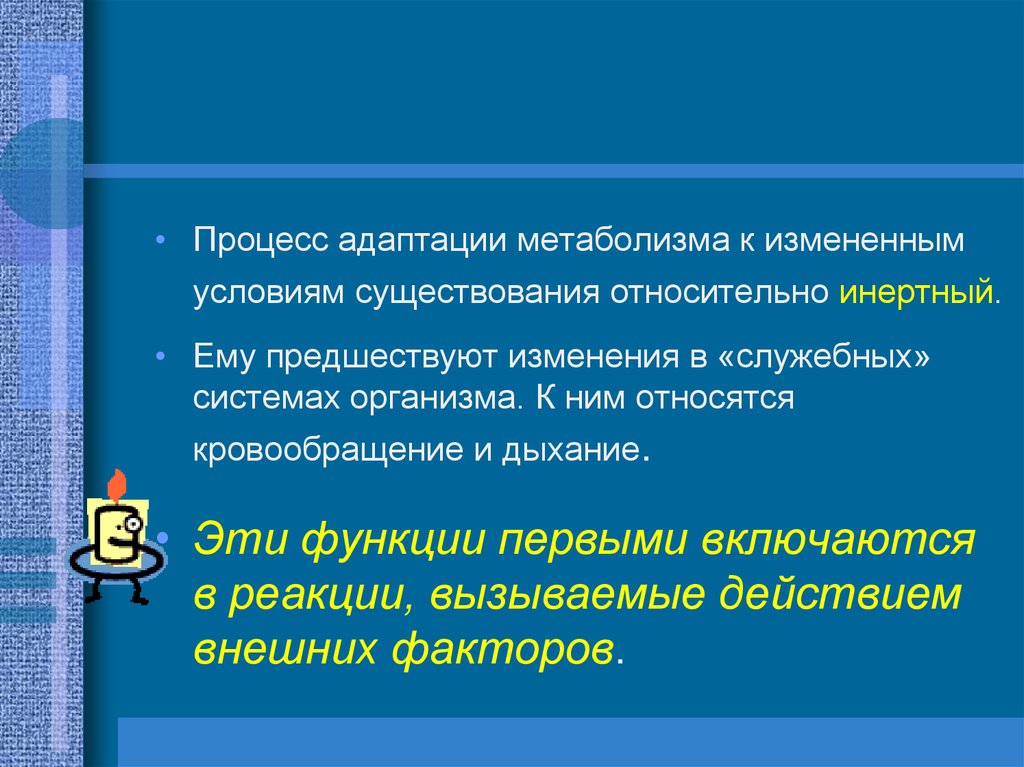 Обмен веществ адаптация. Общие закономерности адаптации человека. Основные закономерности адаптации. Закономерности адаптации организма человека к различным условиям. Основные закономерности адаптационного процесса.