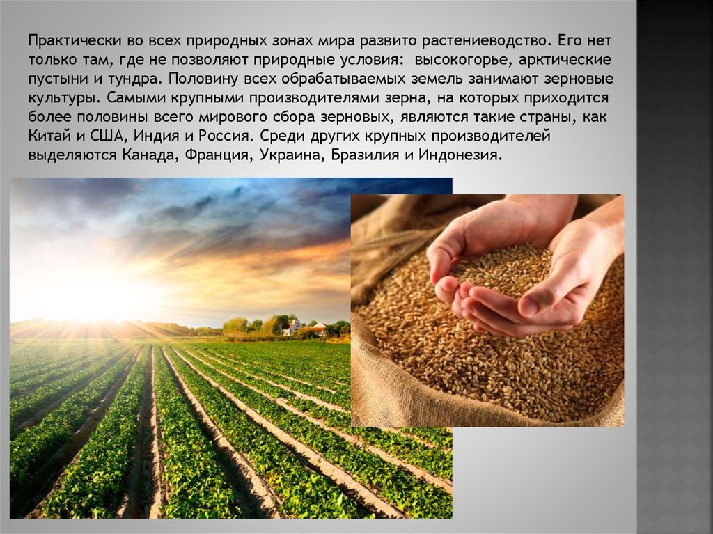 Лесная промышленность мира - презентация онлайн