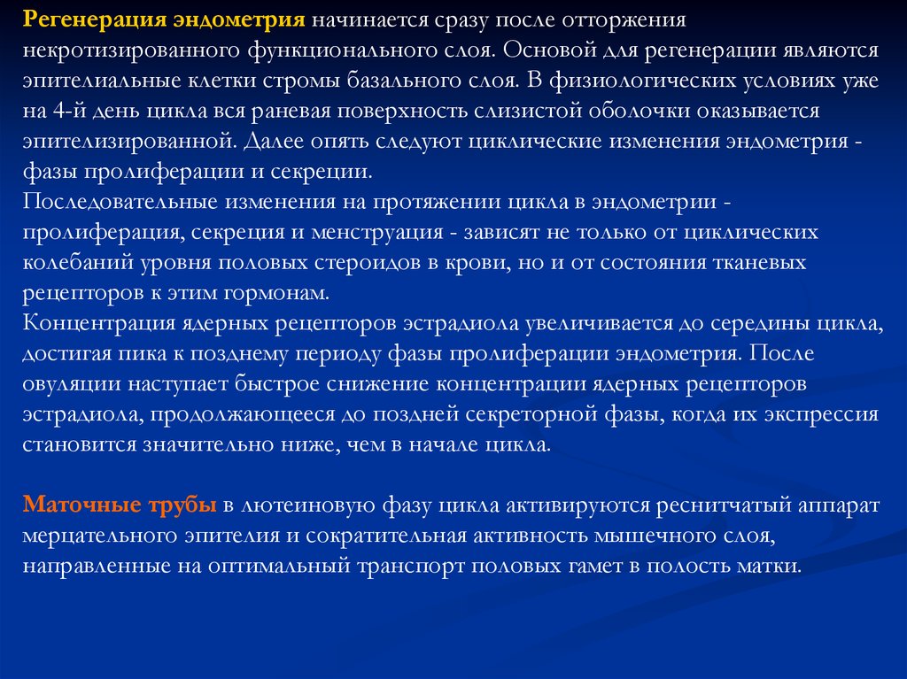 Контрольный цикл. Отторжение функционального слоя эндометрия. Фаза отторжения функционального слоя эндометрия. Регенерация базального слоя эндометрия вид регенерации. Циклическое отторжение функционального слоя эндометрия называется.