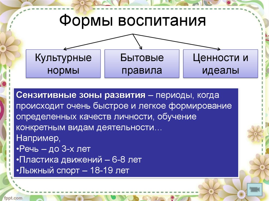 Совокупность культурных норм и ценностей