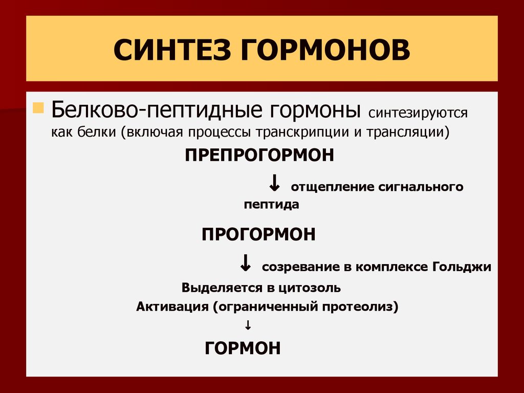 Синтез гормонов в организме