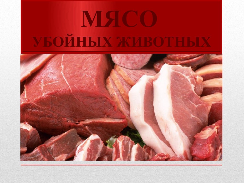 Animals meat. Характеристика мясо убойных животных. Ассортимент мяса убойных животных. Презентация мясо убойных животных.