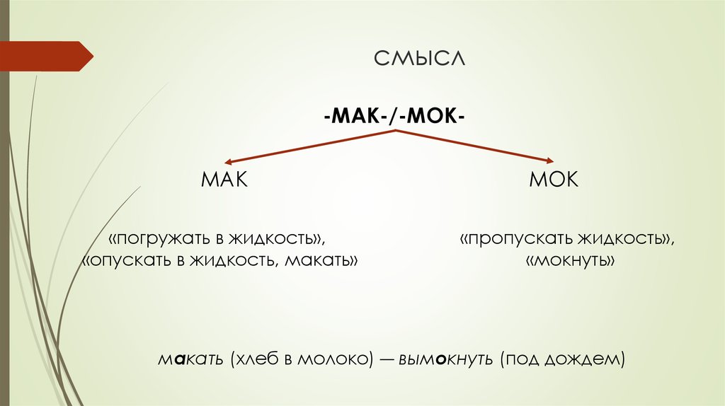 Корни мак мок. Макая или мокая как правильно.