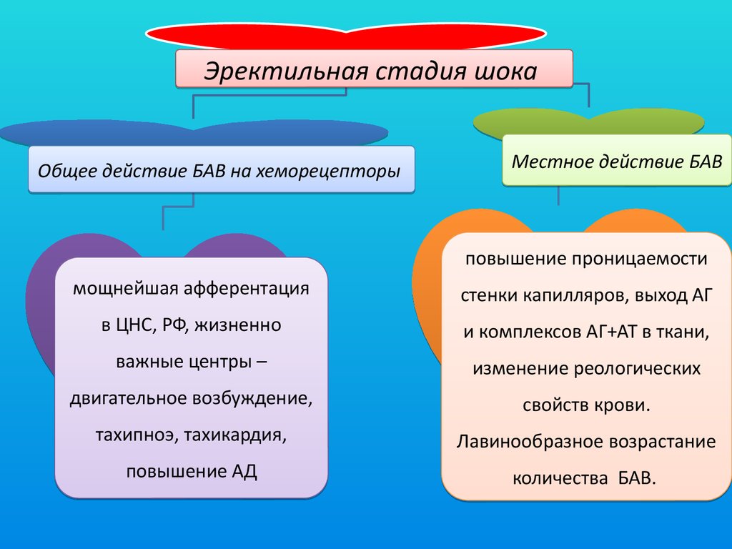 Торпидная фаза характеризуется. Эректильная стадия шока. Эректильная и торпидная фазы шока. Эректильная стадия шока характеризуется. Эректильная стадия шока характеризуется 2.