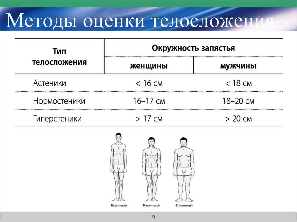 Определите т. Как узнать Тип телосложения у мужчин. Обхват запястья у мужчин Тип телосложения. Как определить Тип телосложения у мужчин по запястью. Как определить Тип тела по запястью.