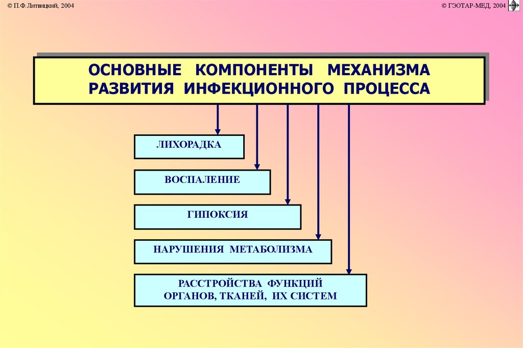 Процесс 2004. Инфекционный процесс патофизиология. Периоды инфекционного процесса патофизиология. Механизм развития инфекционного процесса. Составляющие инфекционного процесса.