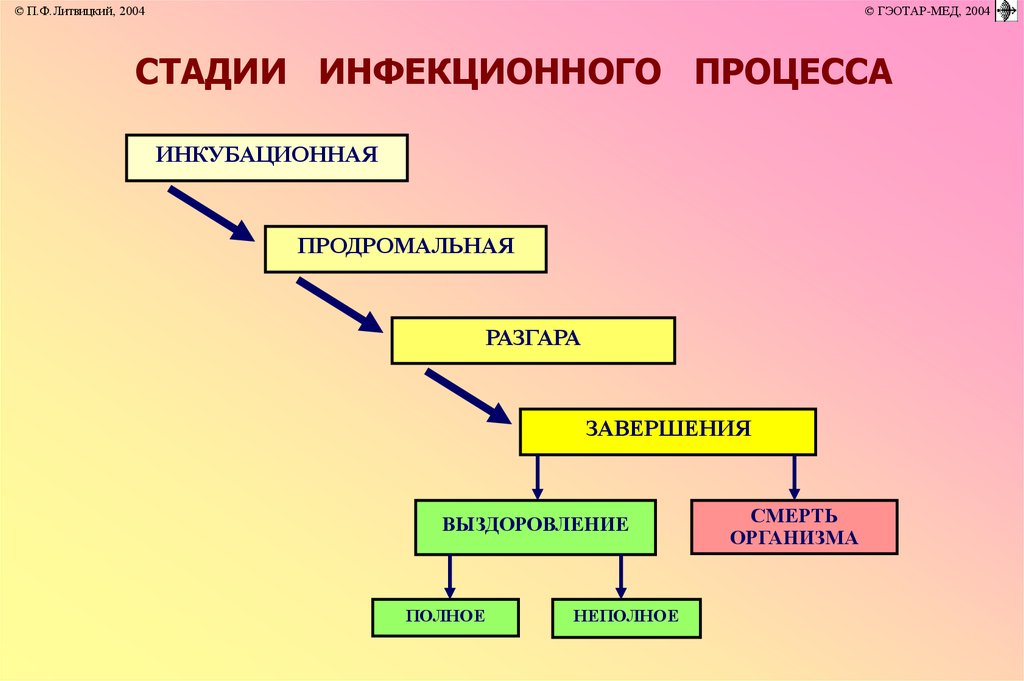 Условия инфекционного процесса