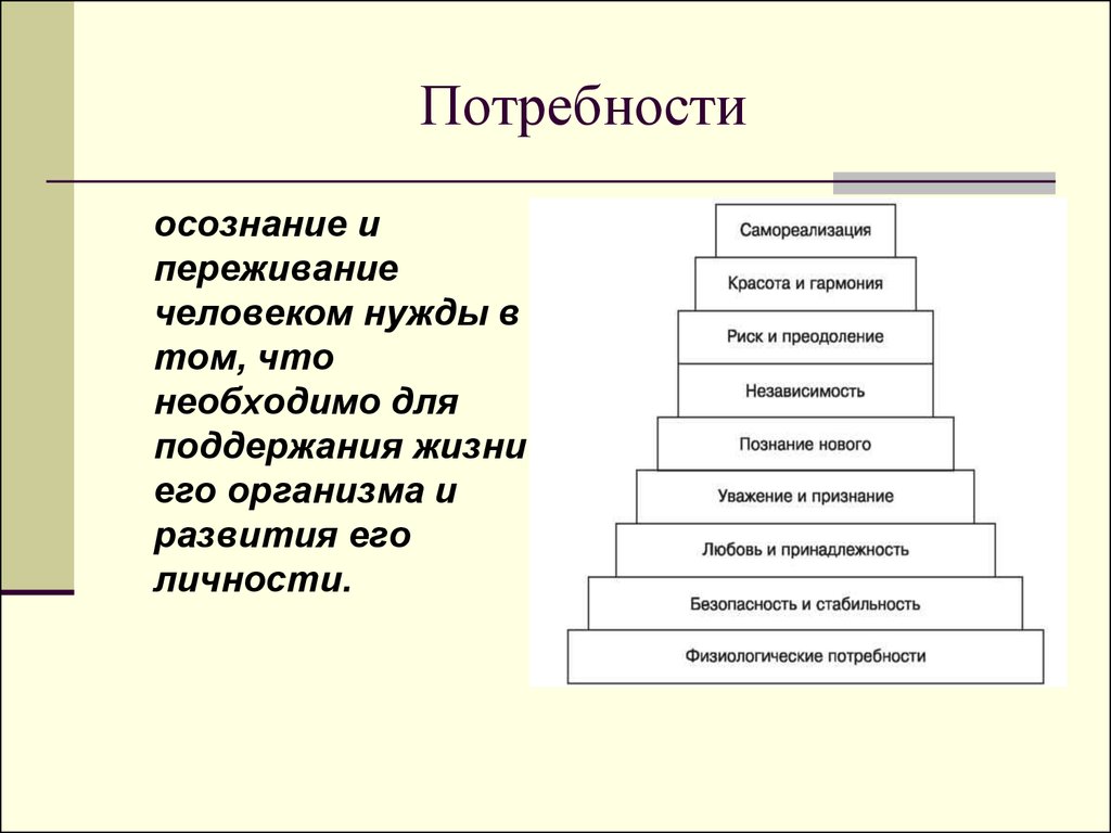 Осознанная потребность. Осознание потребности. Потребности человека это осознанная. Стадия осознания потребности.