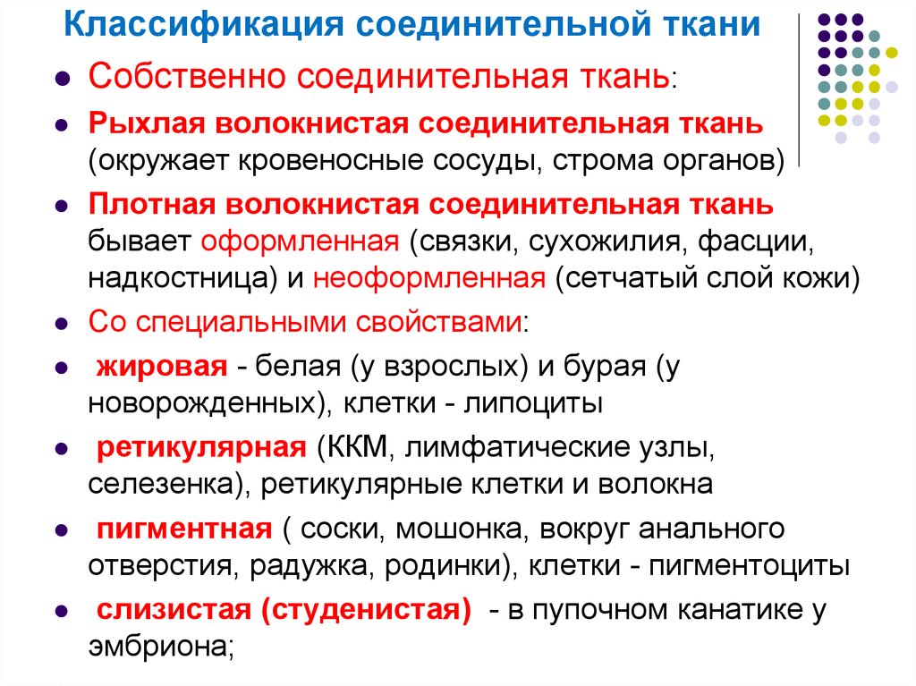 Особенности соединительной ткани. Классификация собственно соединительной ткани. Основные морфологические признаки соединительной ткани. Классификация и функции соединительной ткани. Классификация собственно соединительных тканей. Их характеристика.