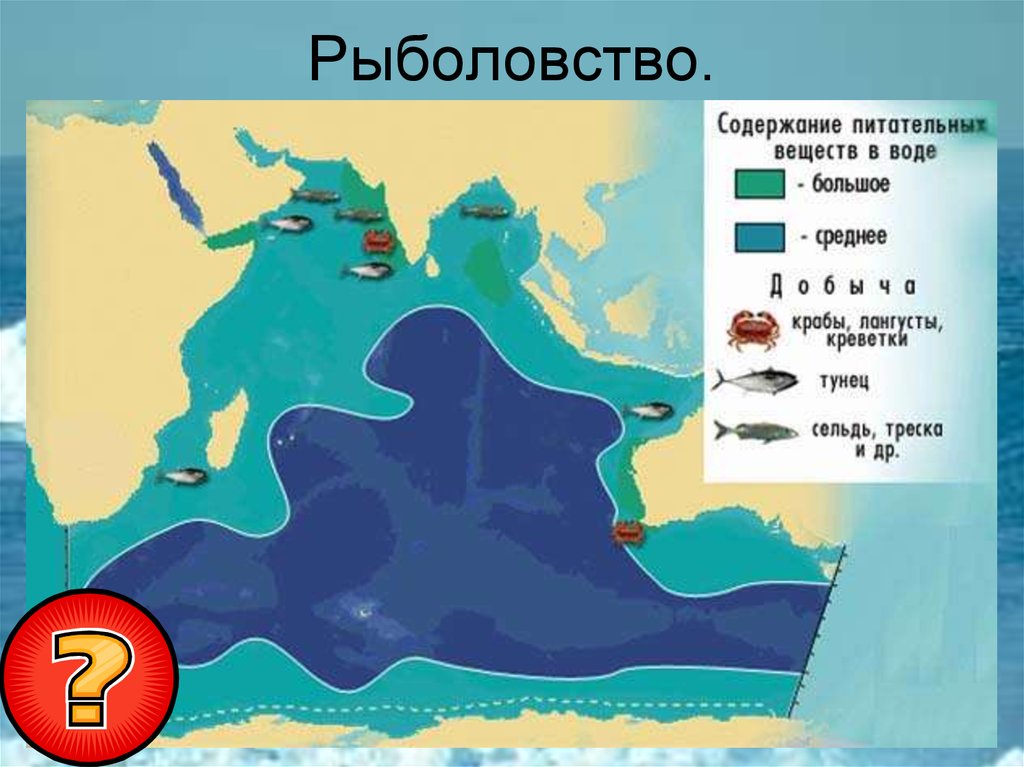 Карта мирового рыболовства