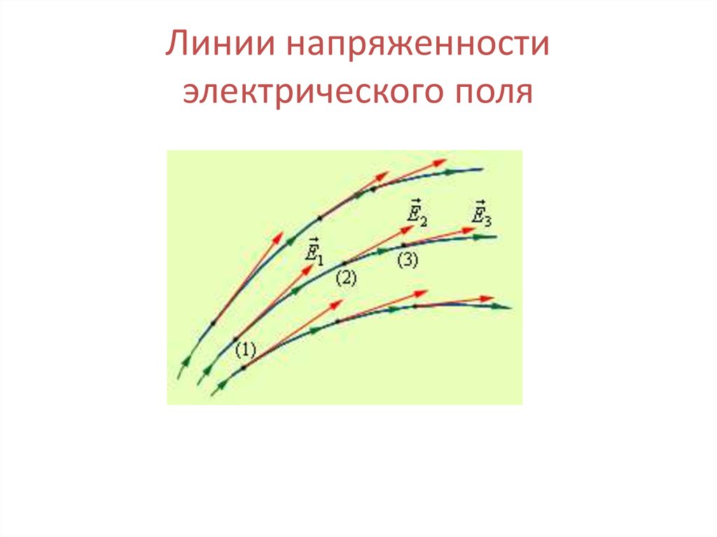 Напряженность линии напряженности заряд поле