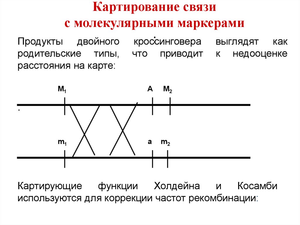 Картирование это