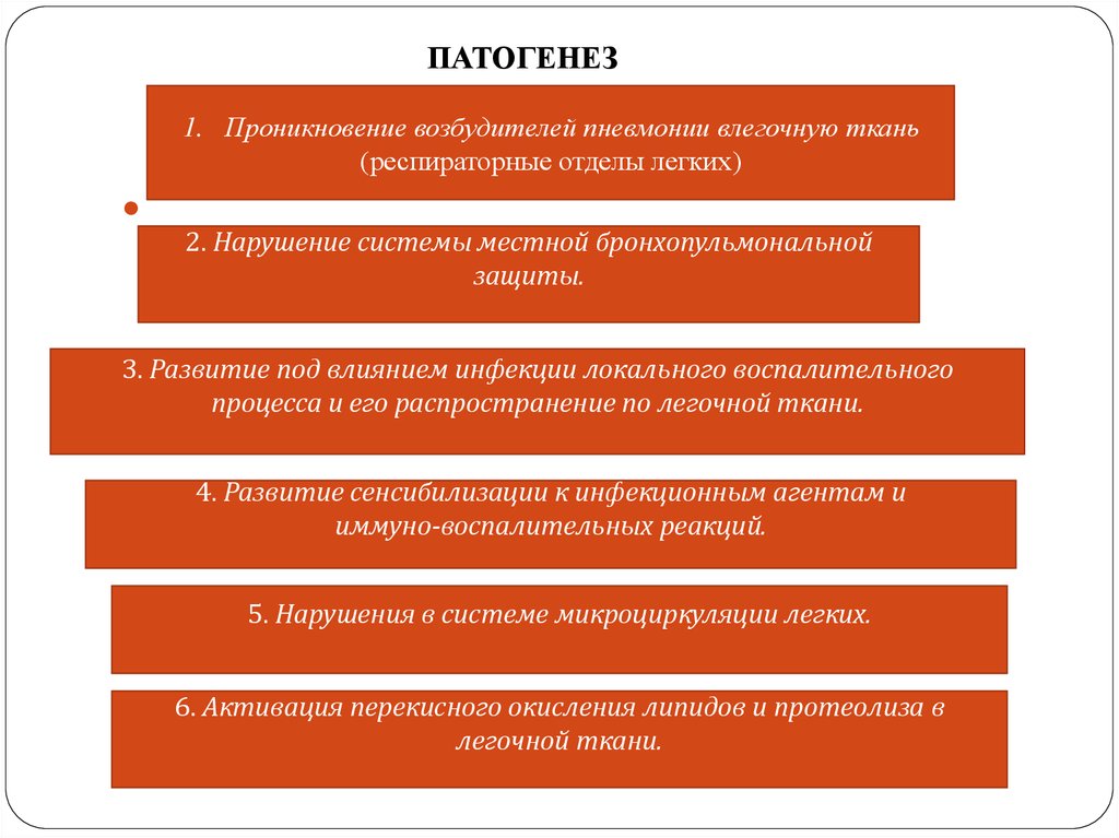 Патогенез пневмонии схема