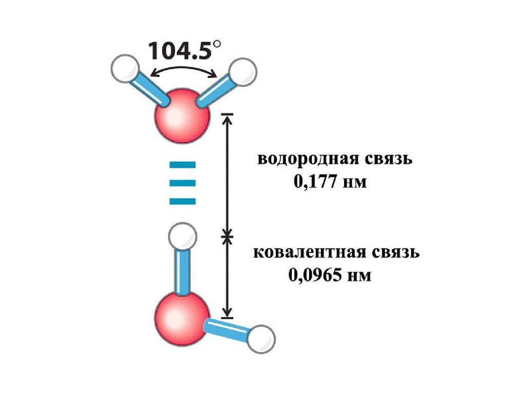 Два водорода. Ковалентная и водородная связи. Прочность ковалентной и водородной связи. Прочность водородной связи. Прочность водородной связи от ковалентной.
