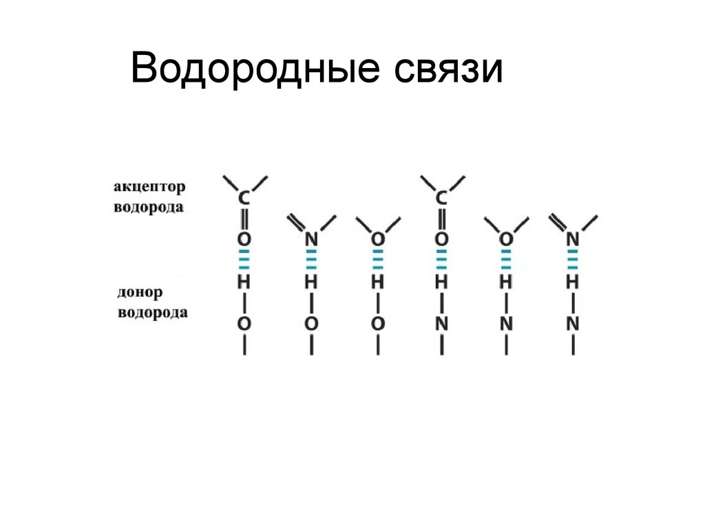 Водородные связи