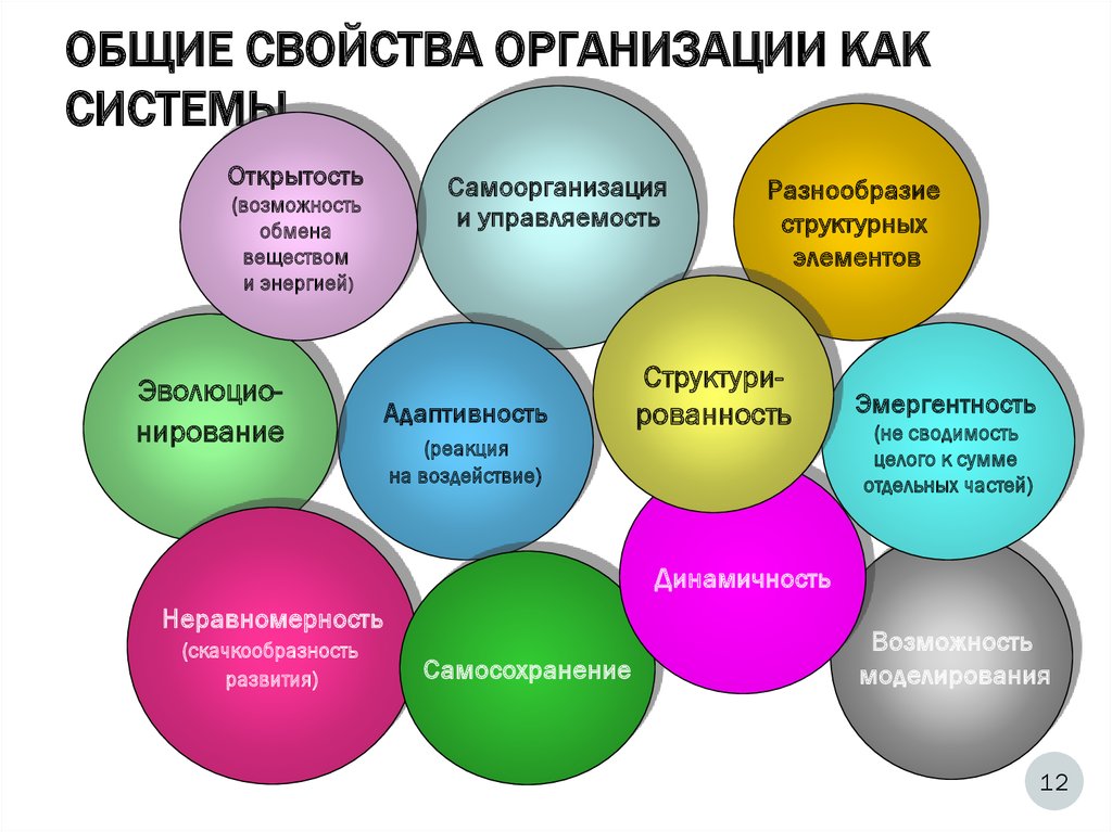 Основные характеристики организации. Свойства организации. Общие свойства организации как системы. Системные свойства организации. Ключевые свойства организации.